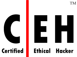 certified ethical hacker