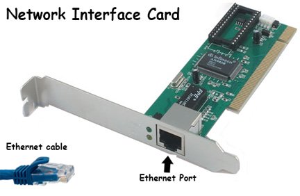 Network Interface Card (NIC)